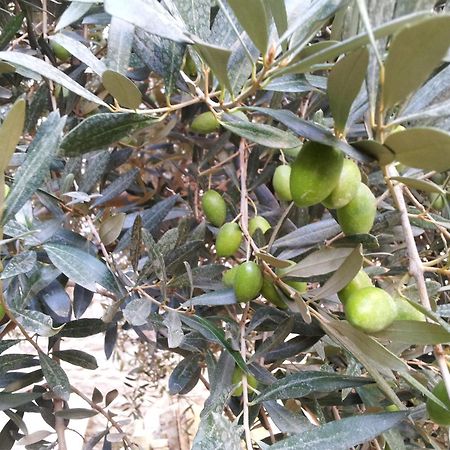 شقة Le Petit Domeynes المظهر الخارجي الصورة